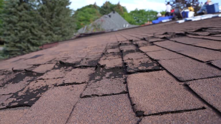 Best Wood Shake Roofing  in Holly Ridge, NC